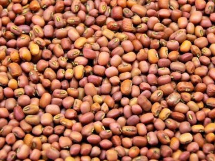 Red Cowpeas