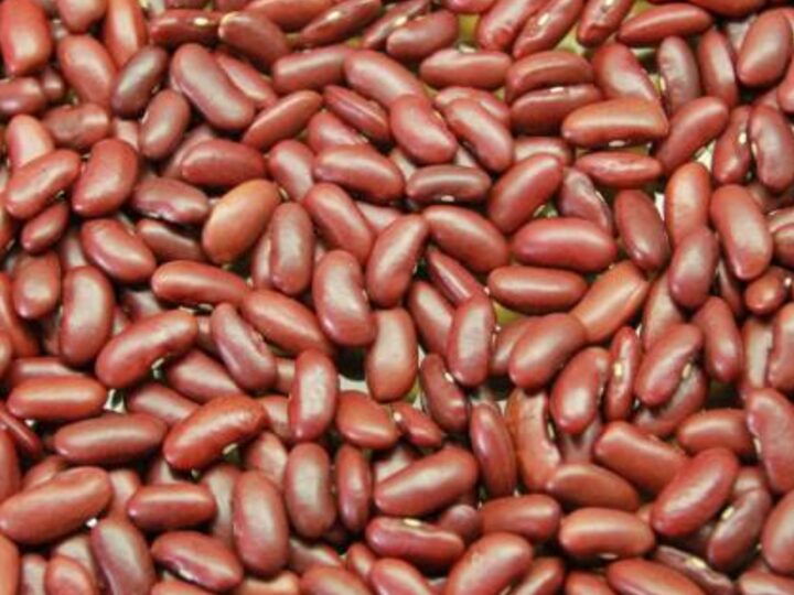 Red Kidney Beans
