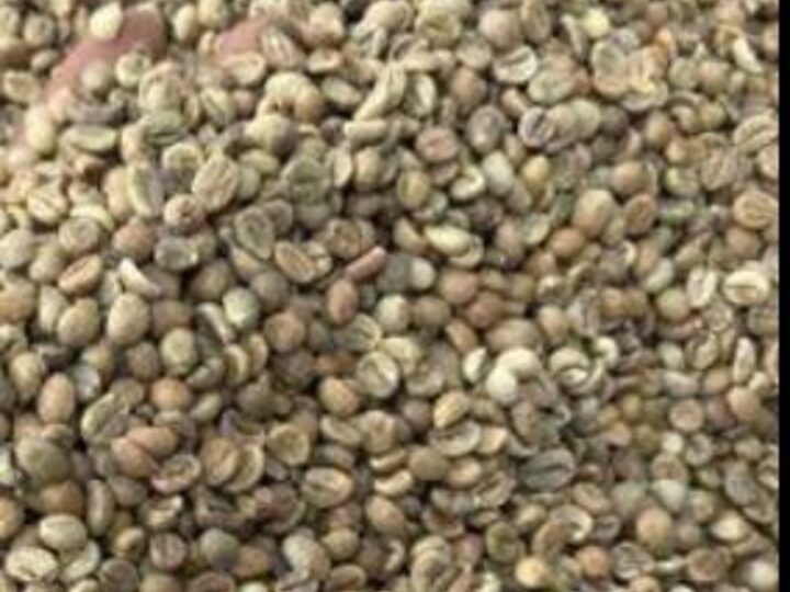 Robusta Coffee