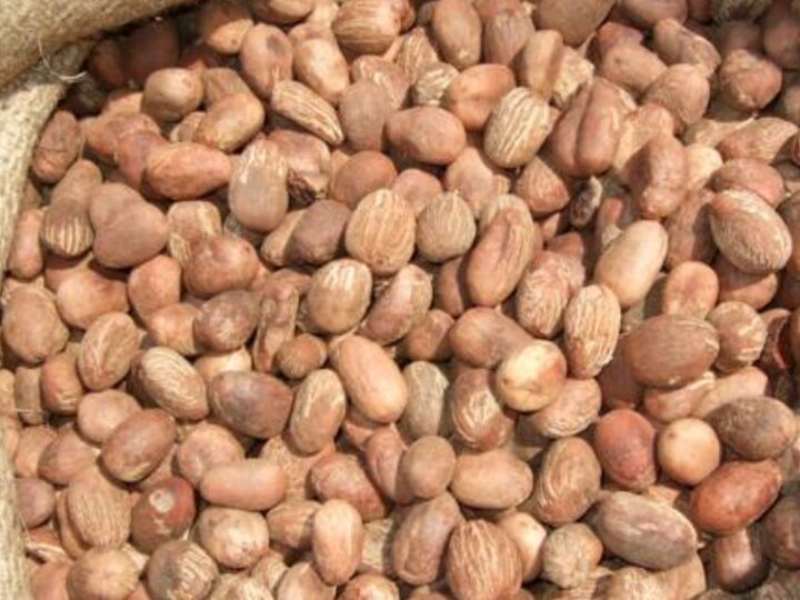 Whole Shea Nuts
