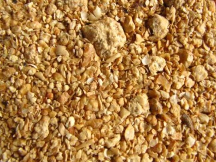 Soyabean Meals